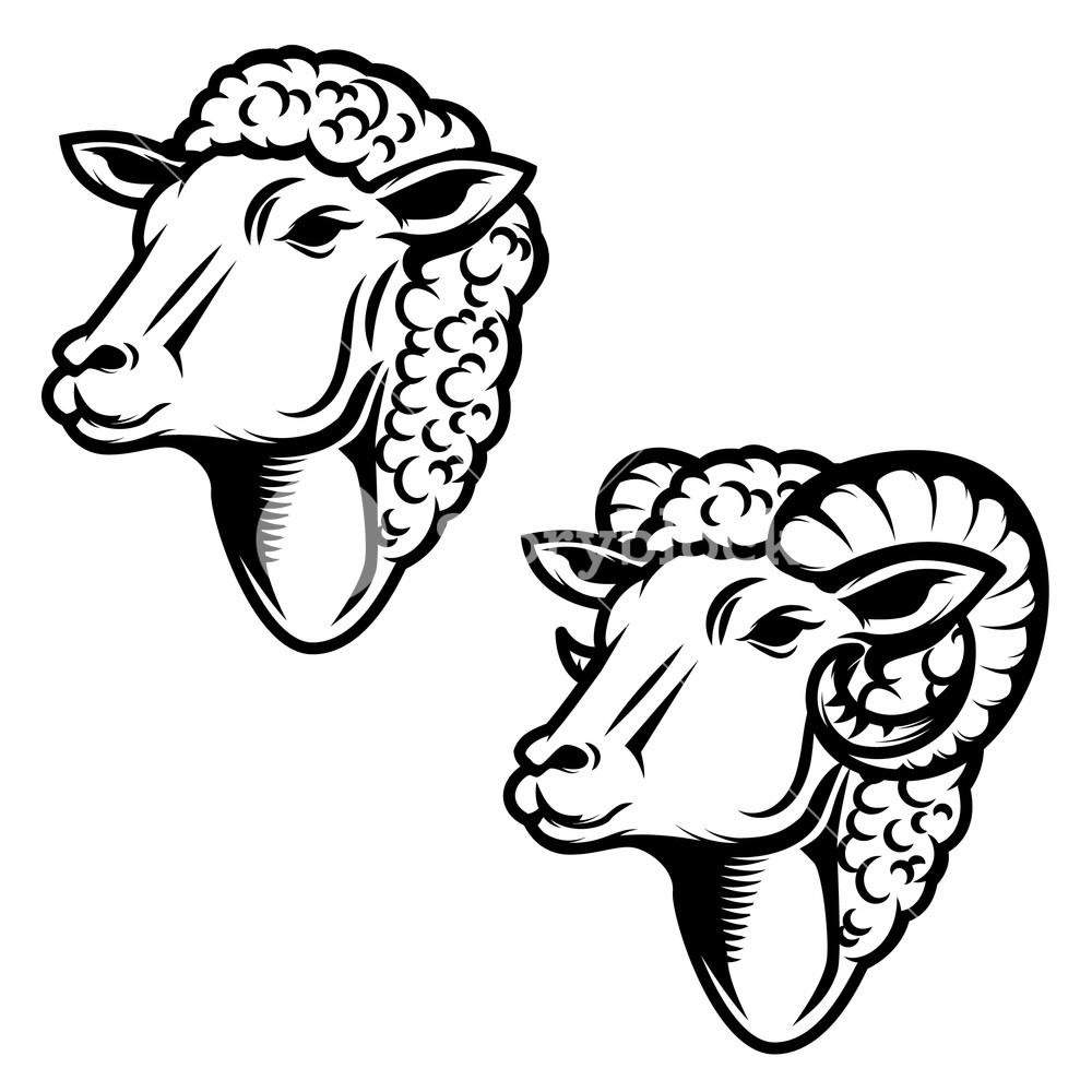 1000x1000 Set Of Sheep Head Illustration Ram Head Design Element For Logo