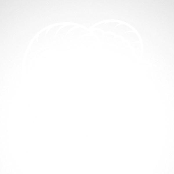 600x600 Simple Color Vinyl Male Sheep Head Stickers Factory