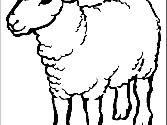 640x480 Drawing A Cartoon Sheep Sheep Coloring
