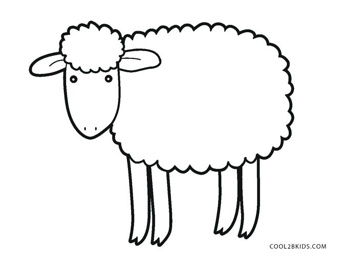 670x506 Sheep Coloring