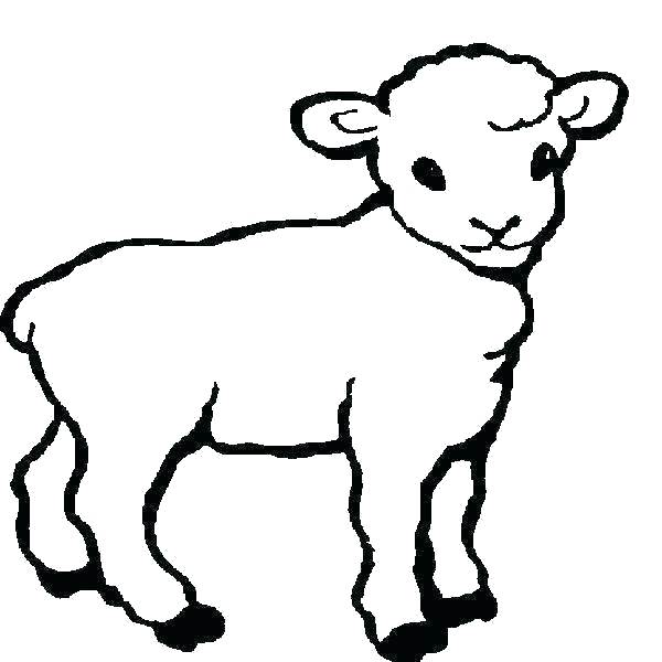 600x600 Demo Sheep Drawing Template C Program Lamb Template To Print Lamb