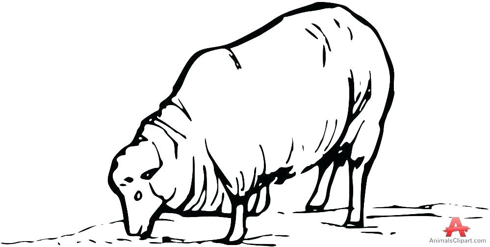 999x503 Huge Collection Of 'sheep Outline Drawing' Download More Than