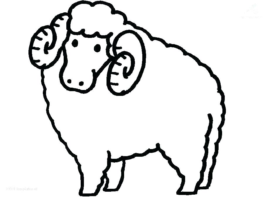 910x670 Sheep Drawing For Kids Coloring Architecture Engineering Meaning