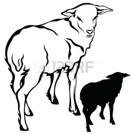 447x450 Lamb Outline Sheep Lamb Outline Template For Activity Lamb Outline