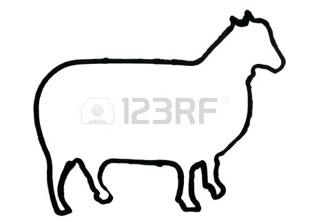 450x323 Outline Of A Tiger Stock Photo Picture And Royalty Free Image Face