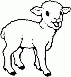 235x254 Awesome Baby Sheep Coloring Pages