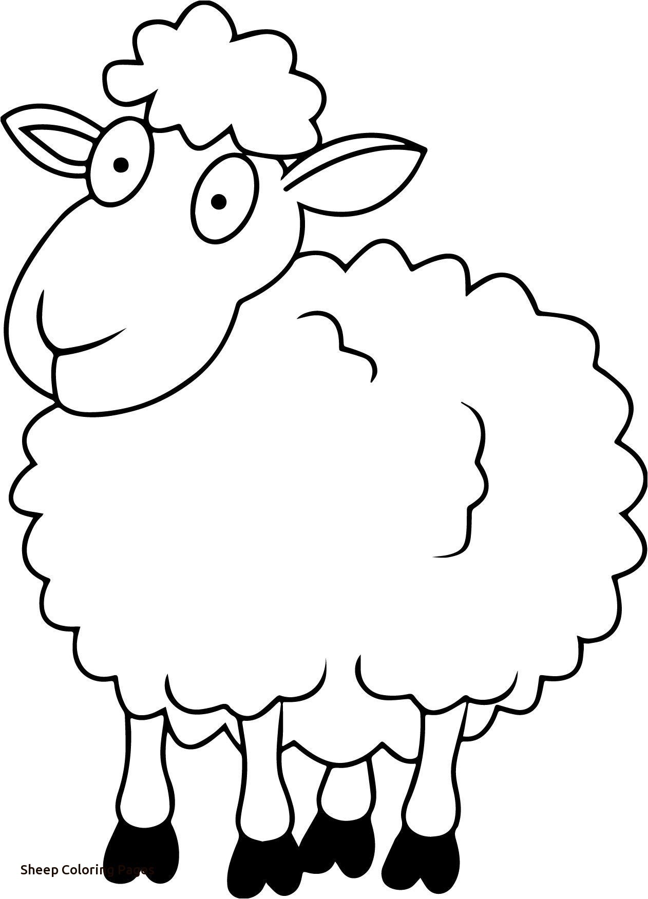 1262x1751 Sheep Outline Drawing
