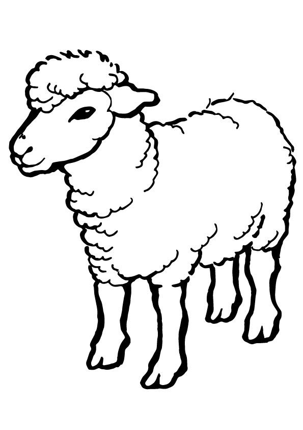 595x842 print coloring image sheep outline sheep cartoon, sheep