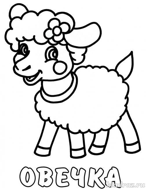 504x655 Awesome Outline Of Sheep Coloring
