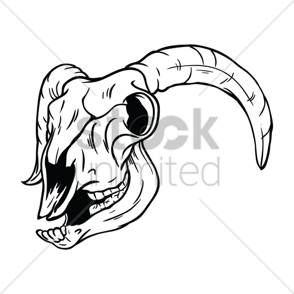 600x600 Free Sheep Skull Vector Image