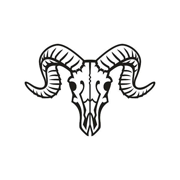 612x612 Image Result For Bighorn Sheep Line Art Dr