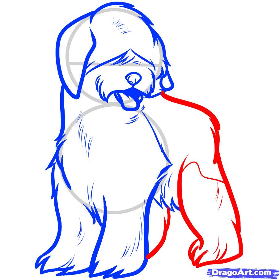 906x906 how to draw a sheepdog, sheepdog, step