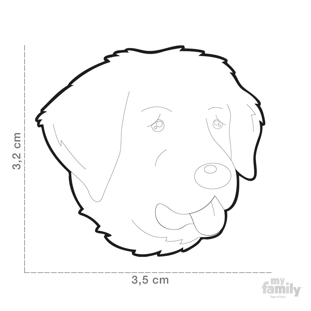 1000x1000 id tag for maremma sheepdog myfamily