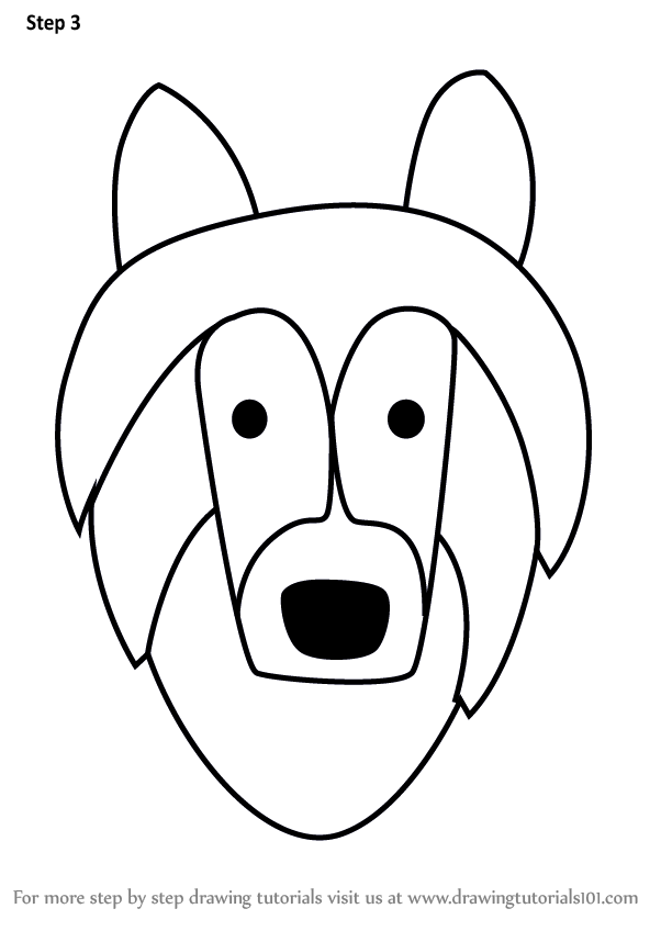 602x848 learn how to draw a shetland sheepdog face for kids