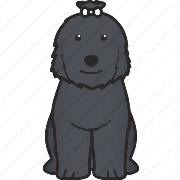 600x600 Old English Sheepdog