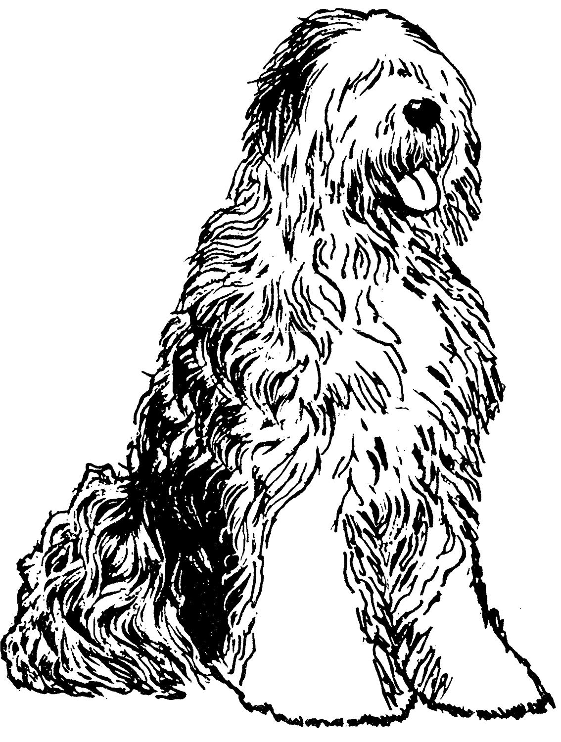 1134x1500 Old English Sheepdog Rubber Stamp