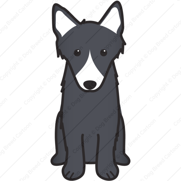 600x600 shetland sheepdog