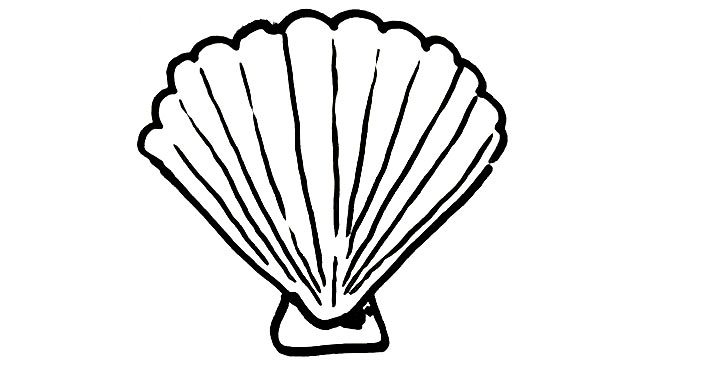 709x375 How To Draw A Shell Shoo Rayner Author