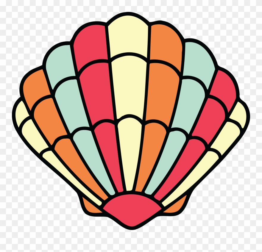 880x847 Clipart, Clipart Seashell Seashell Clam Drawing Mollusc