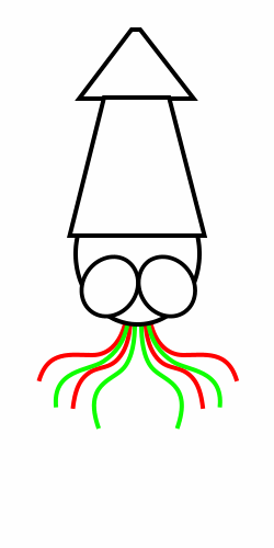 250x500 Drawing A Cartoon Squid