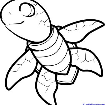 336x336 Easy Turtle Drawing Step