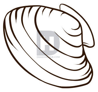 338x318 How To Draw A Shell, Step