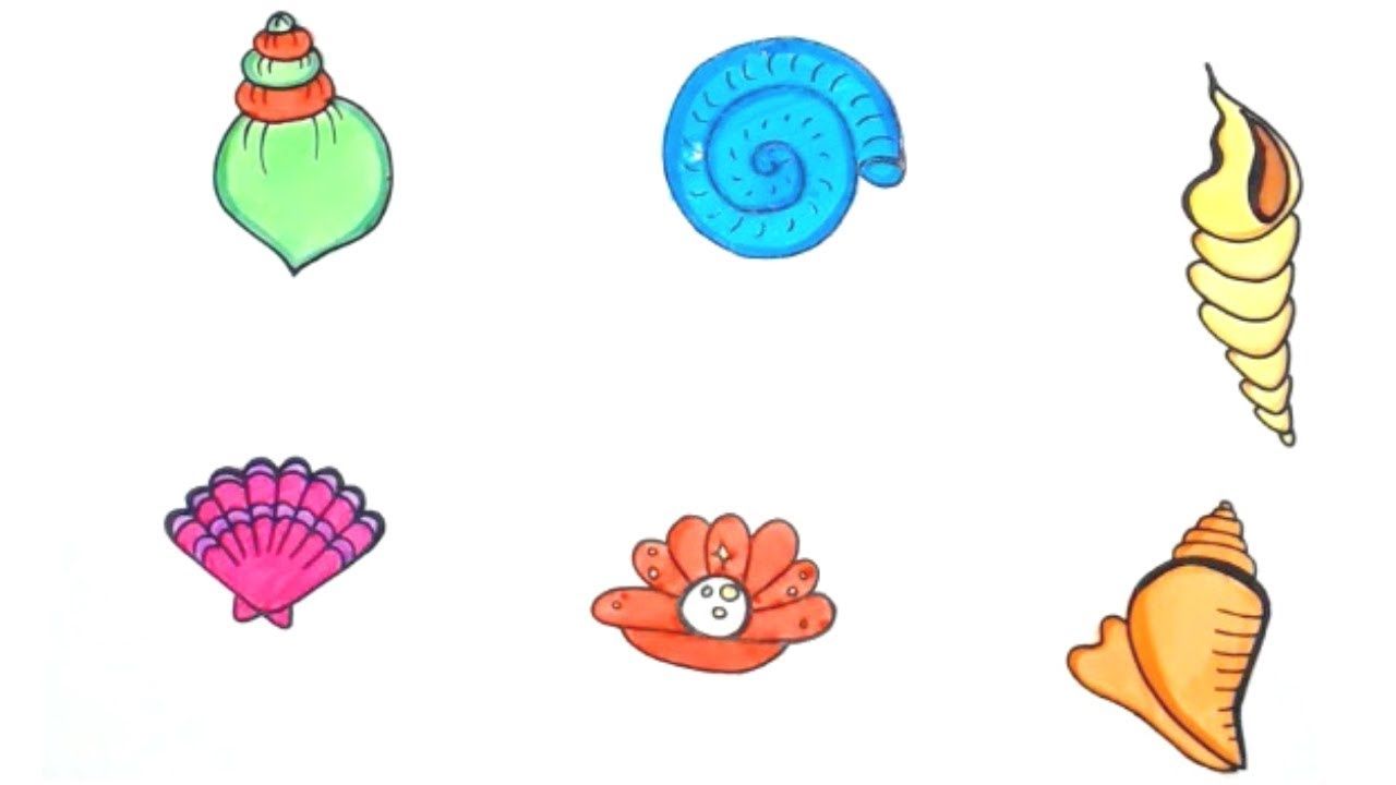 1280x720 How To Draw Simple Seashells Step