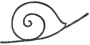 381x191 How To Draw Snails With Simple Step