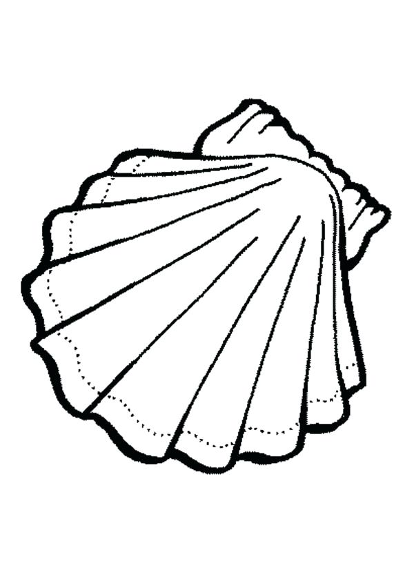 600x849 Seashell Coloring Pages Seashell Coloring