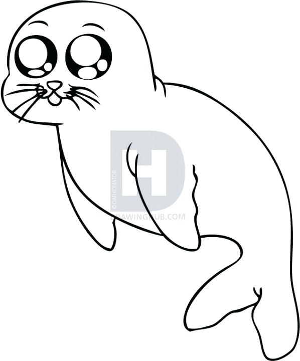 598x720 drawing a seal draw seal cartoon seal drawing images