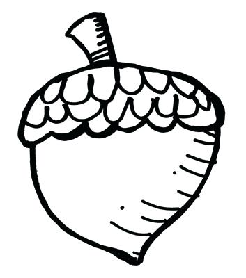 353x400 drawing of an acorn drawing of an acorn garden theory in a nut