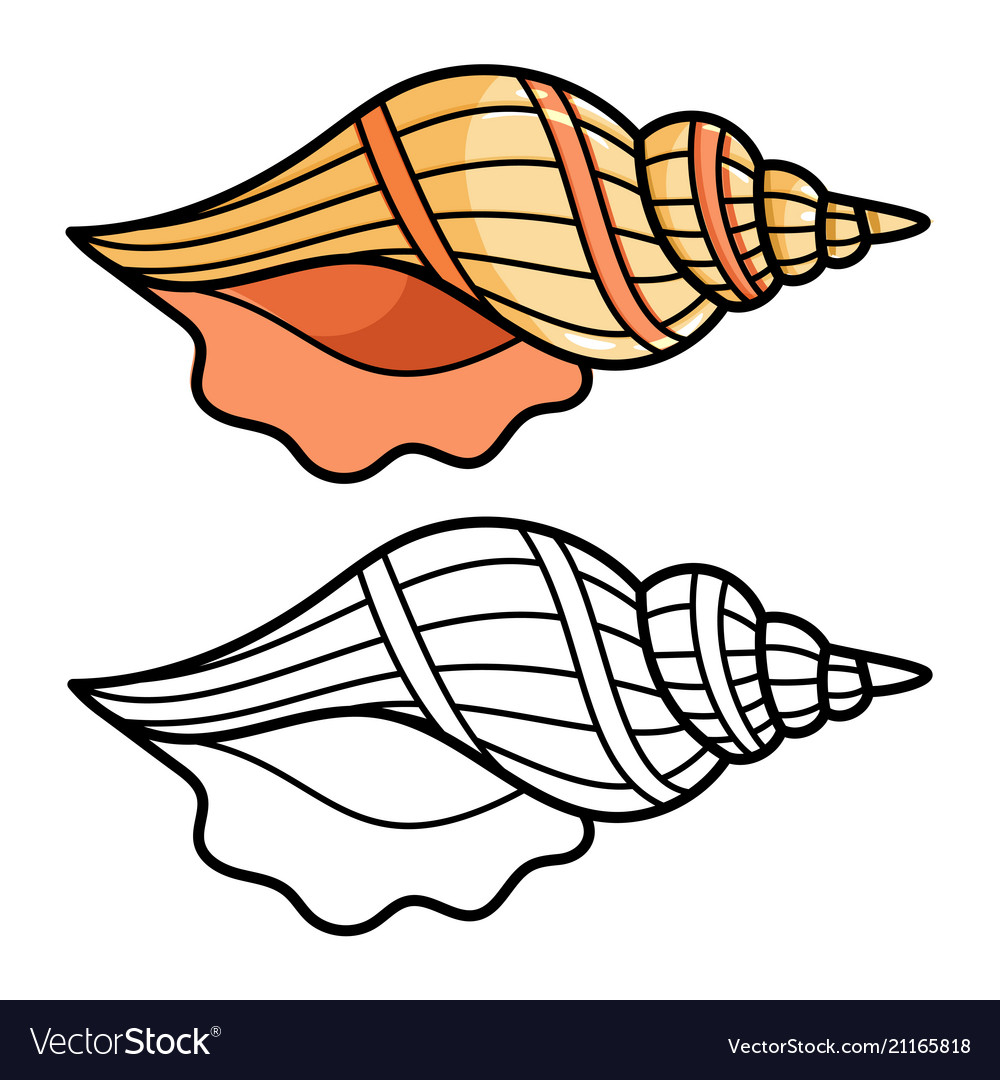 1000x1080 Conch Shell Drawing Easy Horn Line Pencil For Clipart
