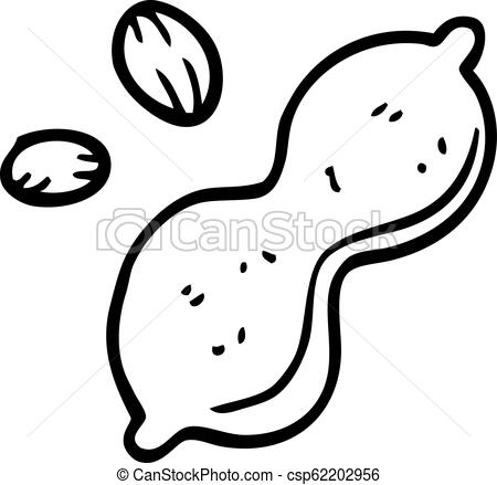 450x439 Line Drawing Cartoon Peanut And Shell
