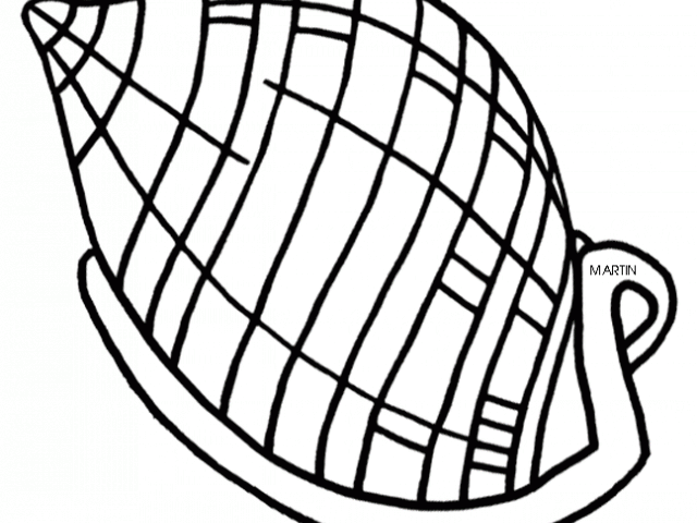 640x480 Shell Clipart