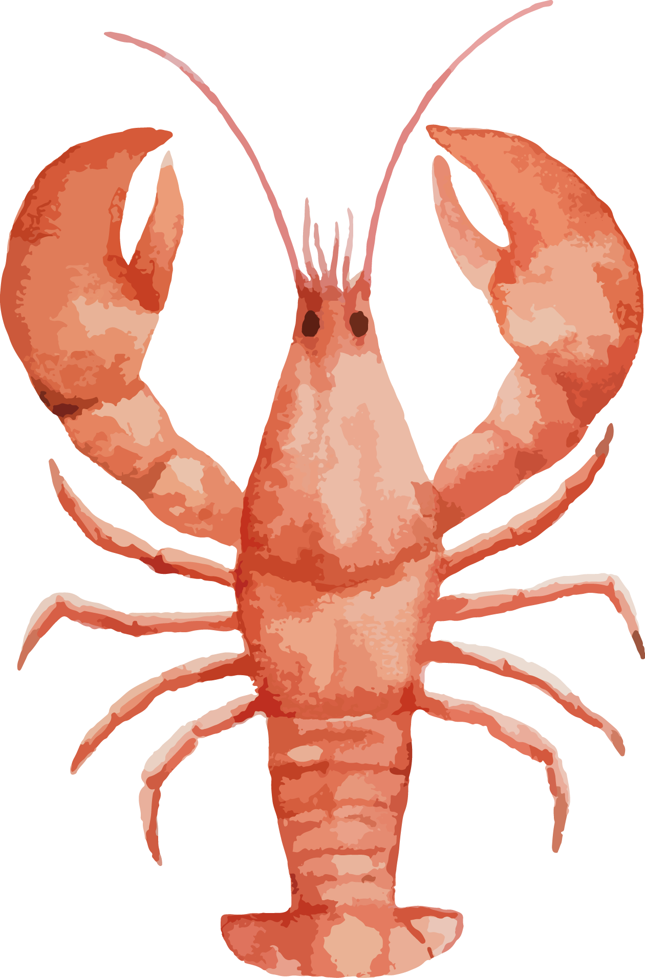 1260x1912 Collection Of Free Lobster Drawing Shellfish Download On Ui Ex