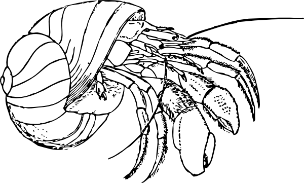 600x361 Crab Clipart Std For Free Download And Use In Presentations