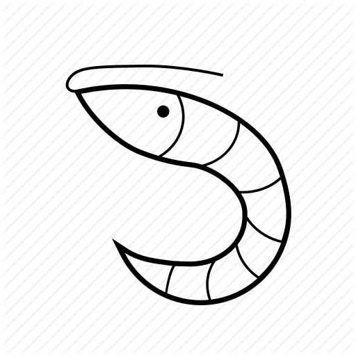 512x512 seafood drawing king prawn transparent png clipart free download