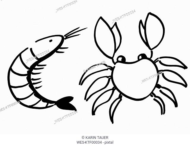 640x493 Seafood Pasta With Shrimp And Crab Salad