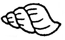 225x140 Shellfish Worksheet