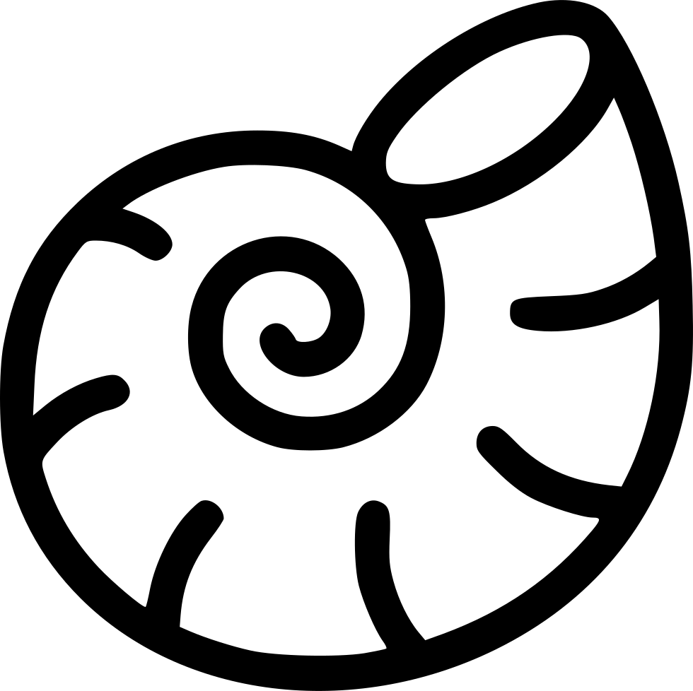 980x978 Shellfish Drawing Different Frames Illustrations Hd Images