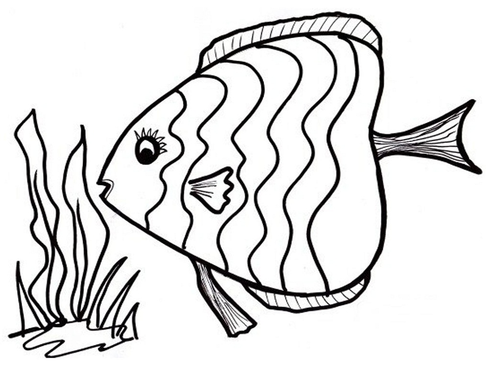 1000x750 Fish Coloring