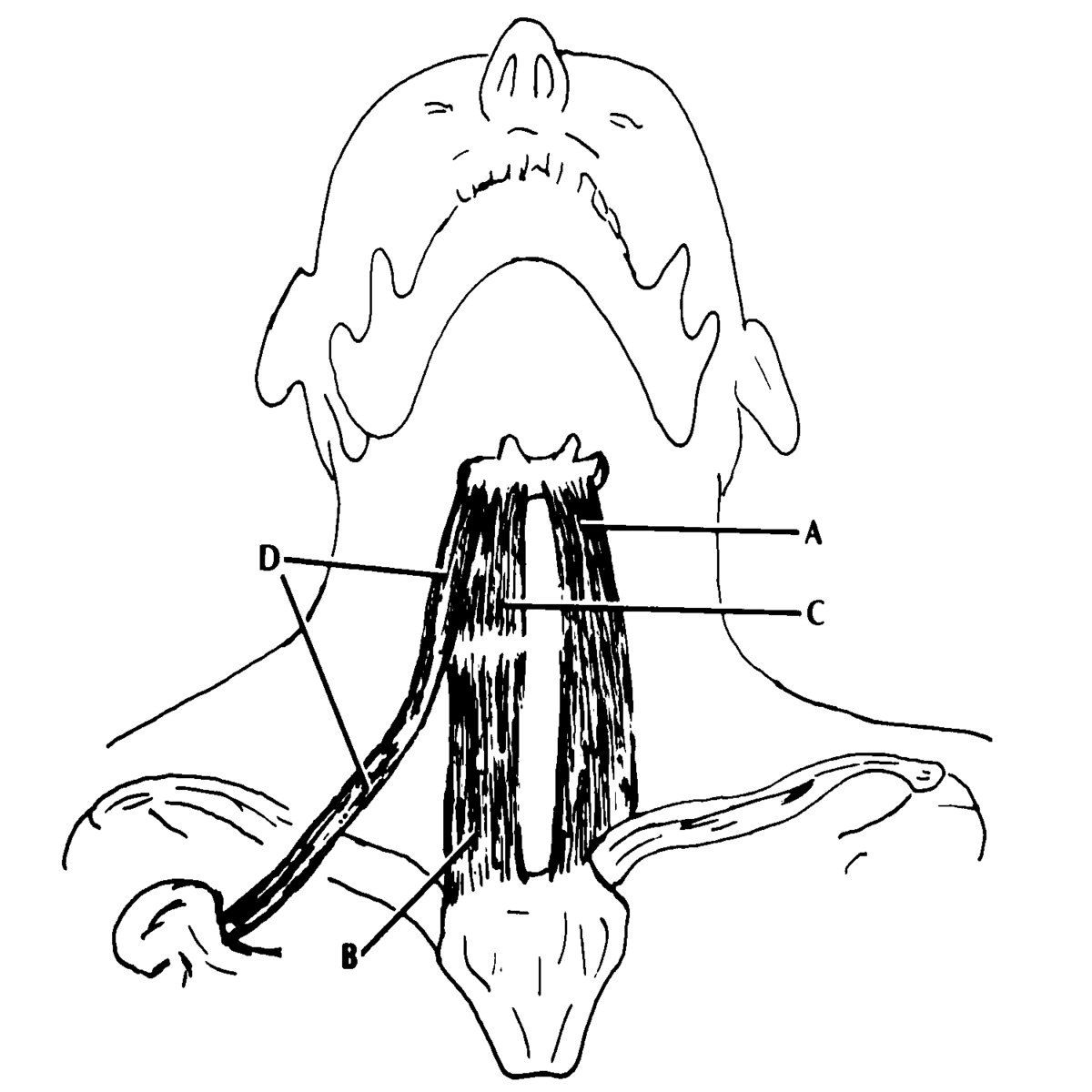 1200x1200 Winter Shelter Enforced Existence