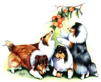 350x283 Shamrock Artwork