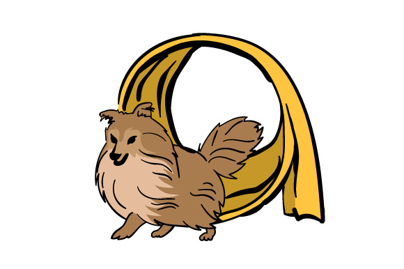 580x386 sheltie dog doing agility training