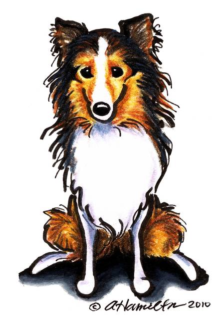 443x650 Stunning Sheltie Drawings And Illustrations For Sale On Fine Art