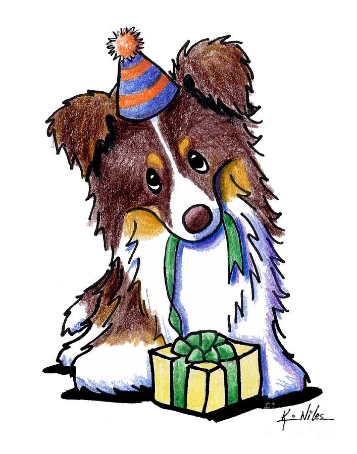 707x900 Tri Chocolate Border Collie Drawing Happy Birthday Border