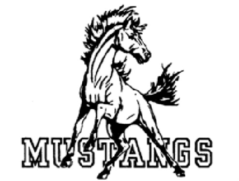 494x373 donna shepard band