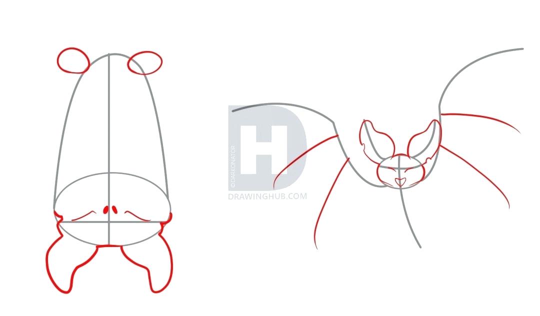 1080x632 Drawing Bats