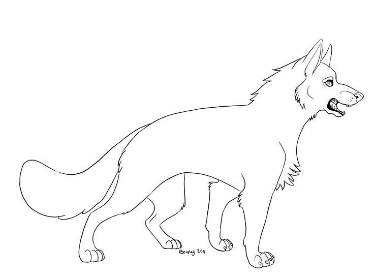 736x551 How To Draw A German Shepherd Step