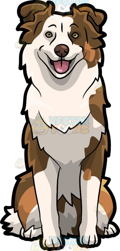 489x1024 A Cute Australian Shepherd Dog Crafts Cartoon Dog Drawing